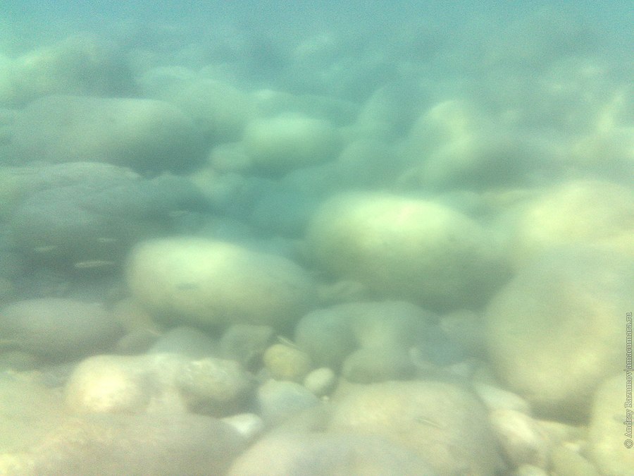 фотосъемка на телефон под водой